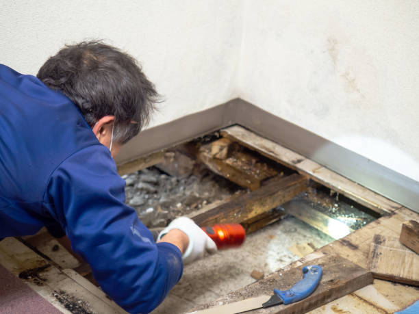 Best HVAC Mold Remediation in Marvin, NC