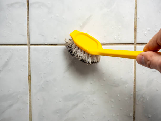 Best Post-Flood Mold Remediation in Marvin, NC
