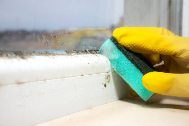 Best Mold Testing and Inspection Services in Marvin, NC